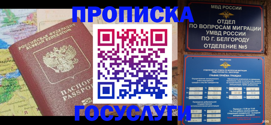 прописка регистрация в Видном